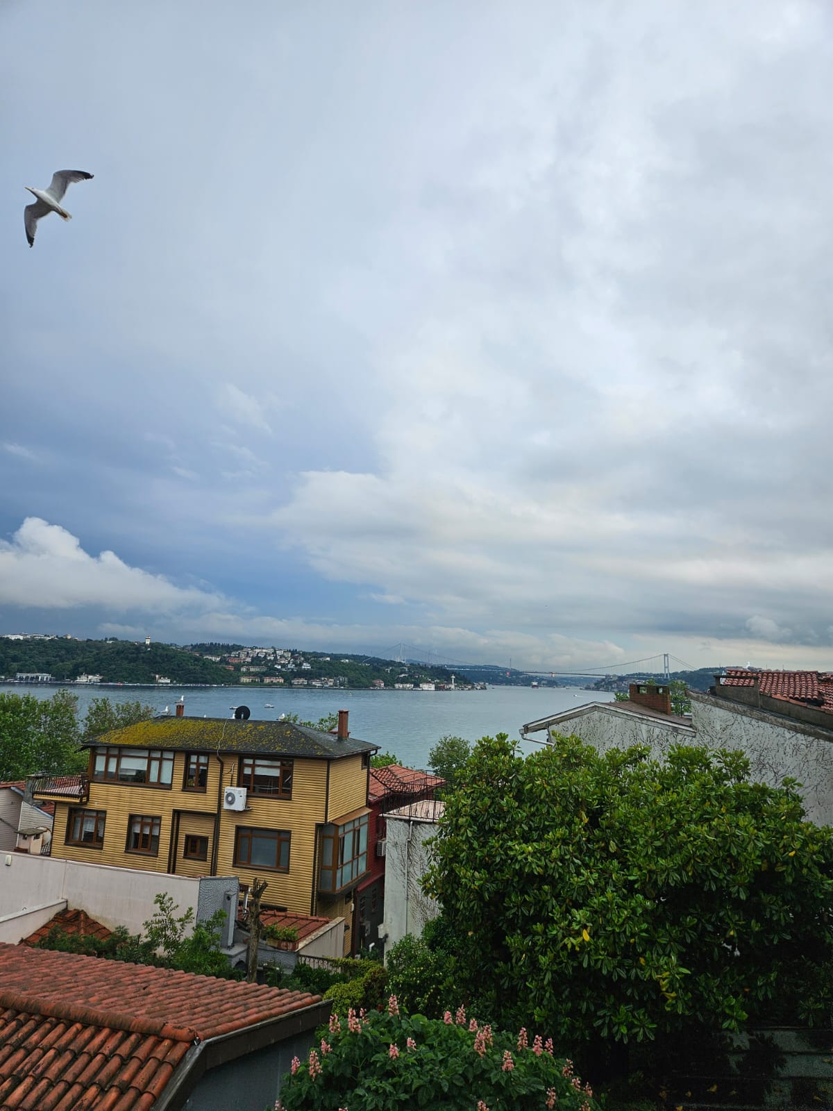 YENİKÖY'DE BOĞAZ MANZARALI 3 KATLI  BİNA - 14