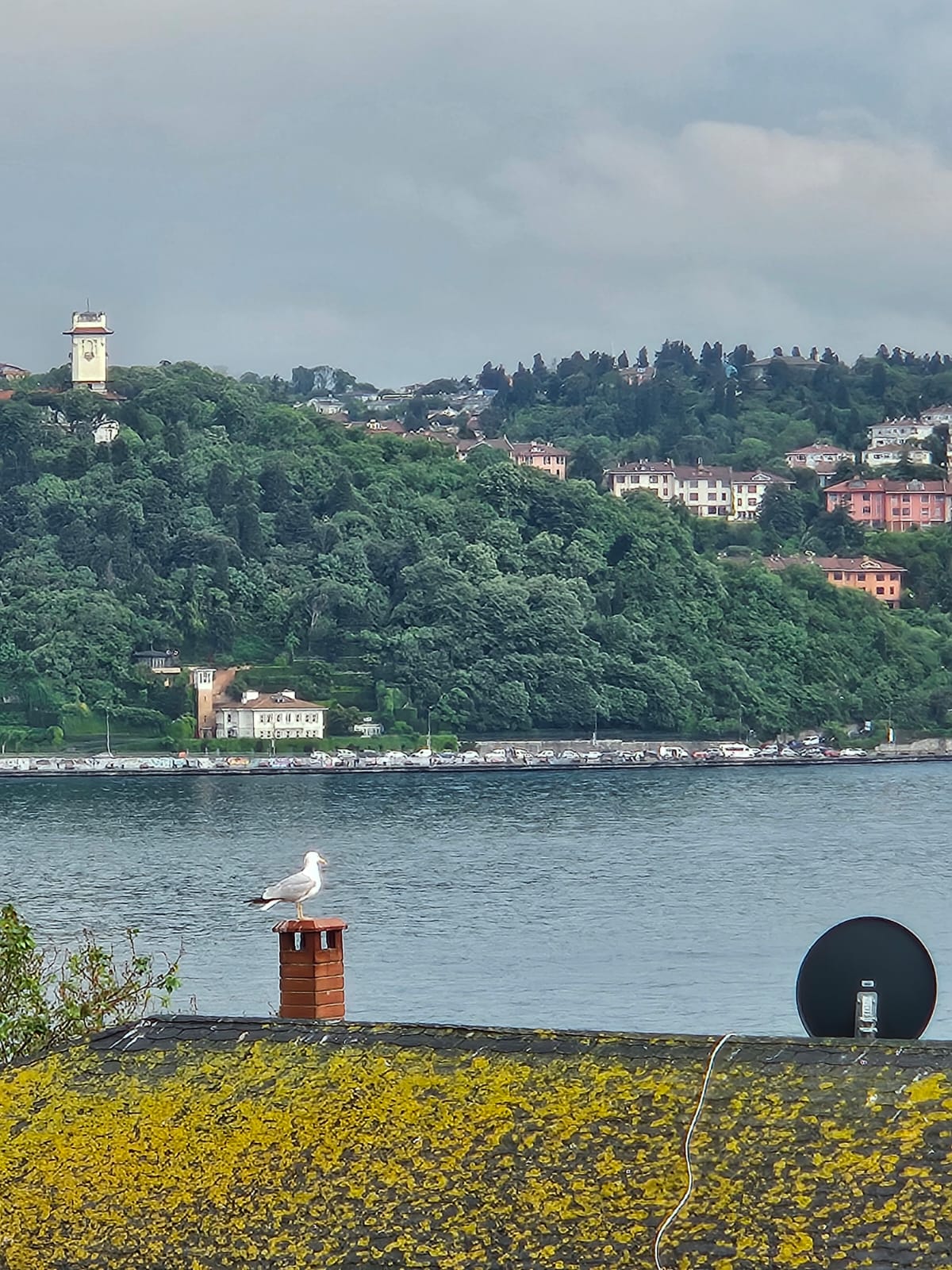 YENİKÖY'DE BOĞAZ MANZARALI 3 KATLI  BİNA - 18