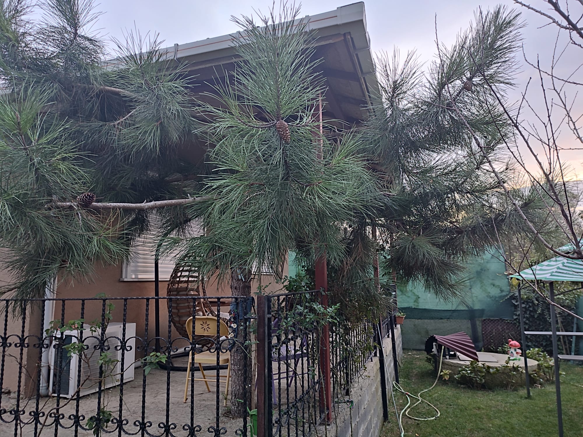 GÜMÜŞDERE'DE 600M2 BAHÇE İÇİNDE MÜSTAKİL EV - 2