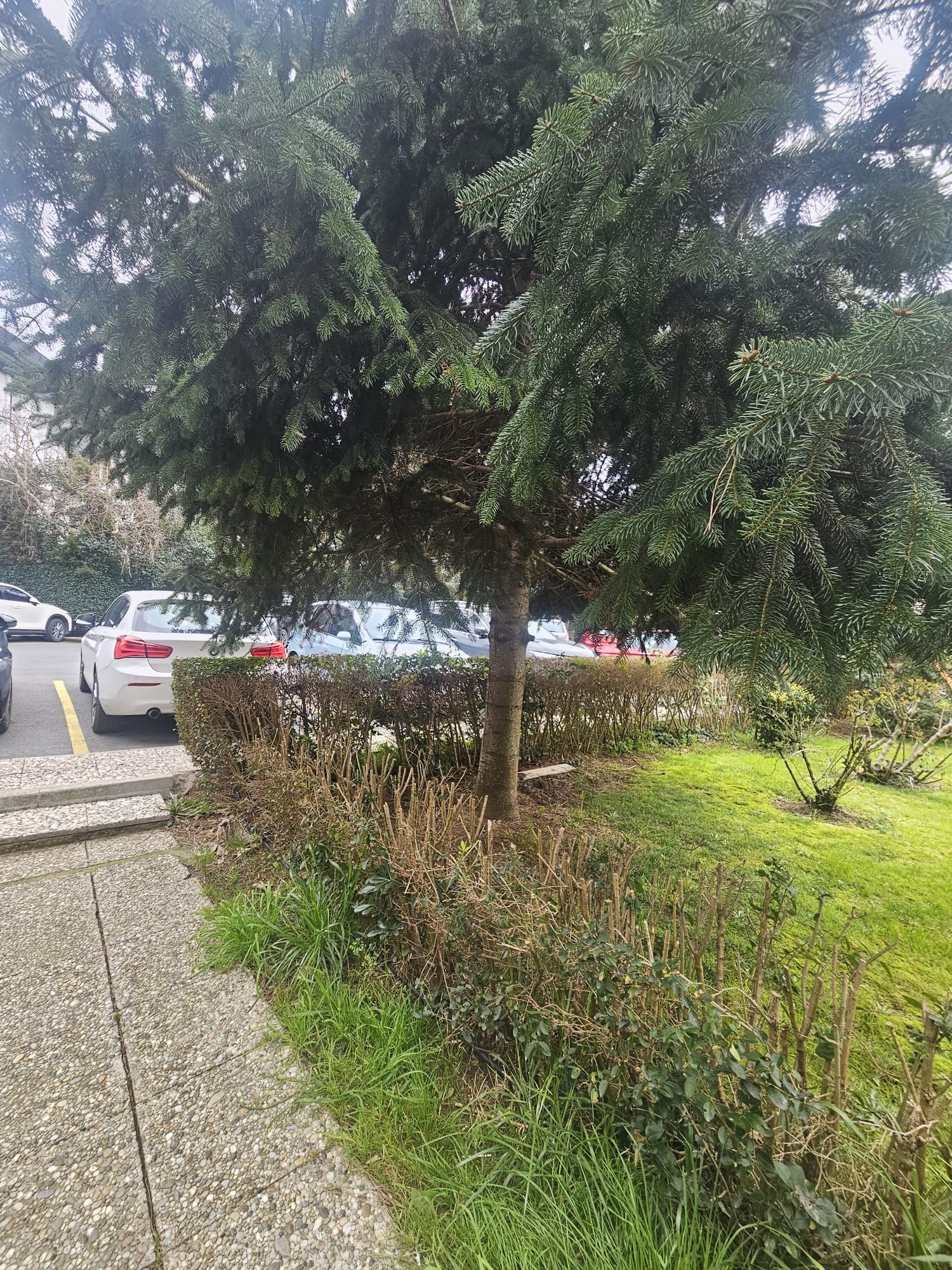 YENİKÖY OYMAK SİTESİNDE 2+1 DAİRE - 8