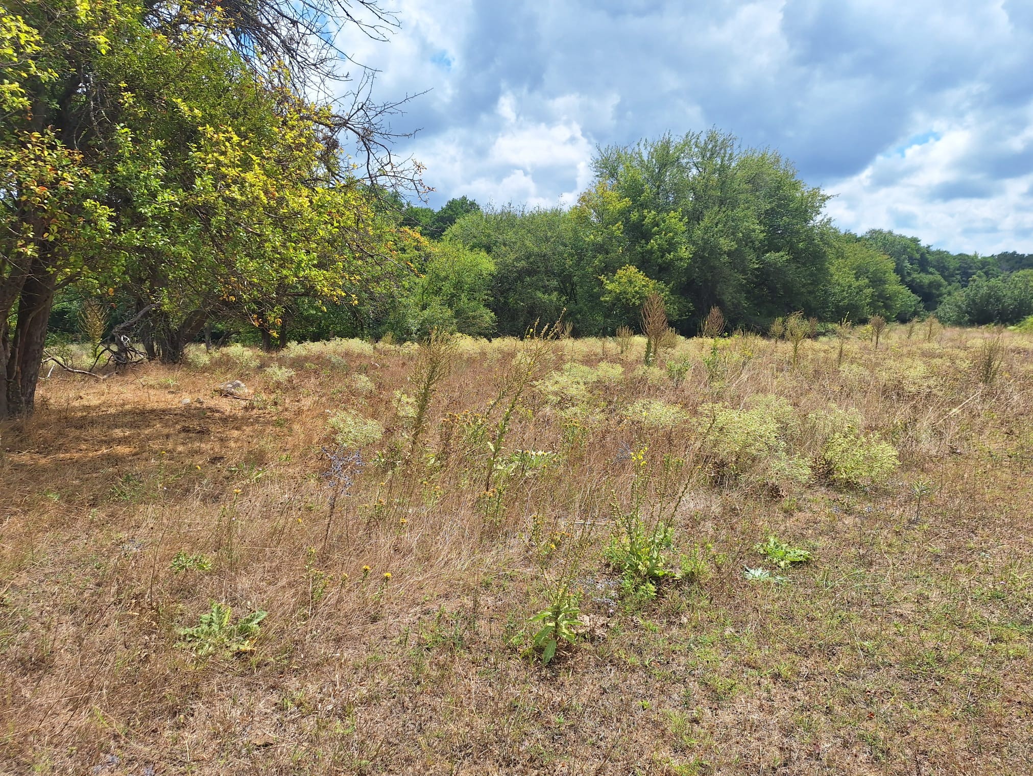 ÇATALCA BİNKILIÇ MACARTEPE'DE 635M2 YATIRIMLIK ARSA - 2