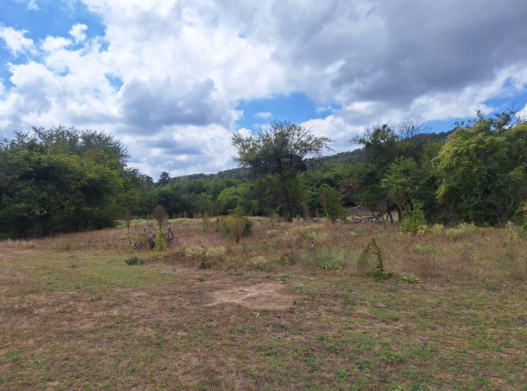 ÇATALCA BİNKILIÇ MACARTEPE'DE 635M2 YATIRIMLIK ARSA - 3