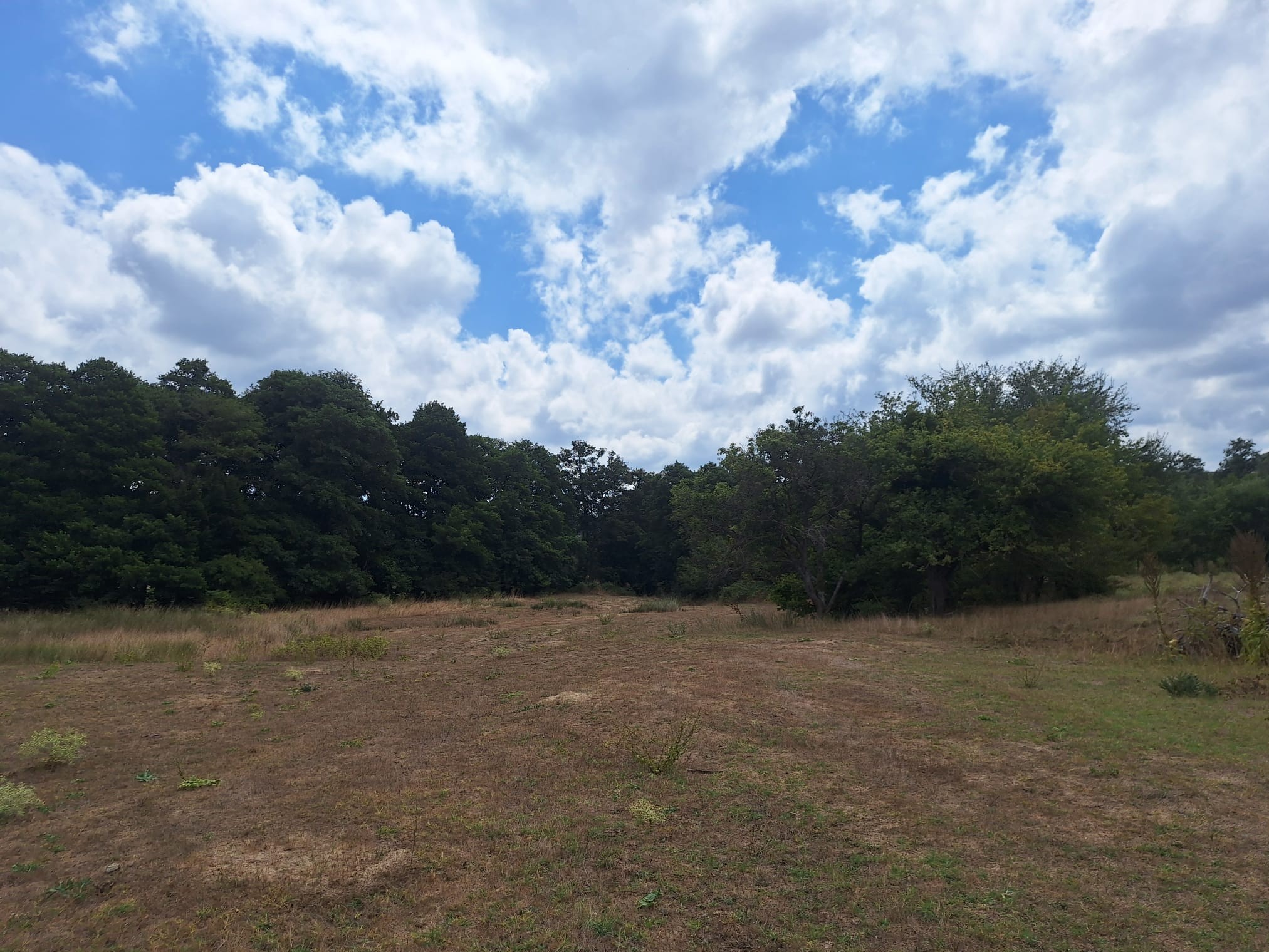 ÇATALCA BİNKILIÇ MACARTEPE'DE 635M2 YATIRIMLIK ARSA - 5