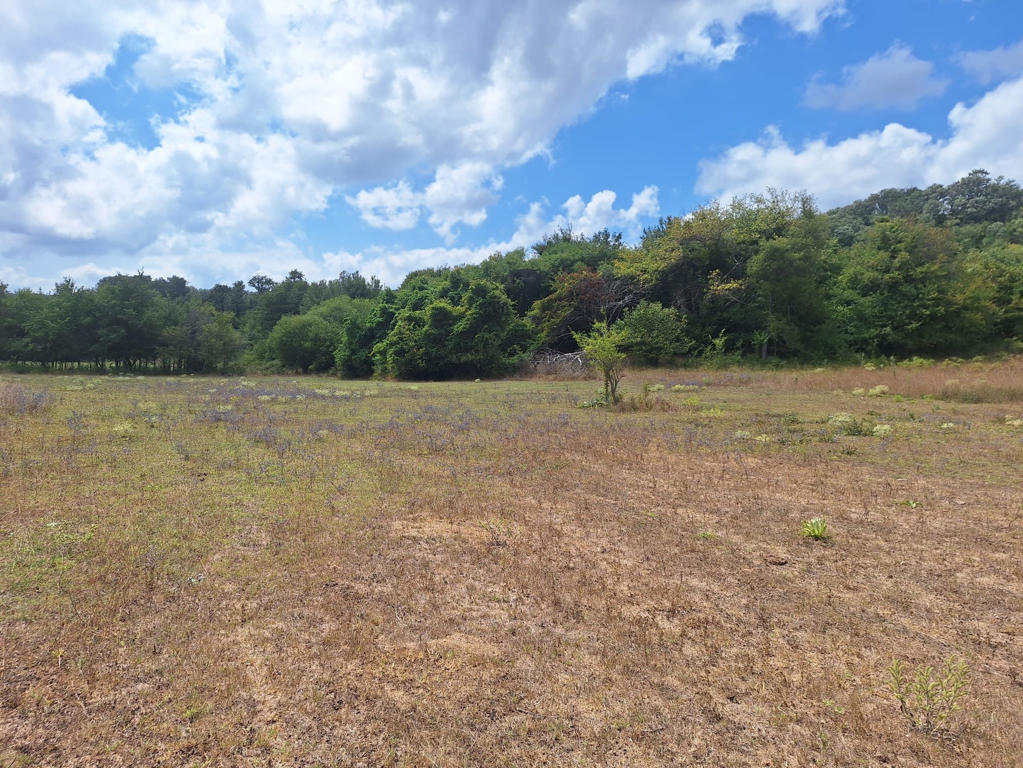 ÇATALCA BİNKILIÇ MACARTEPE'DE 635M2 YATIRIMLIK ARSA - 6