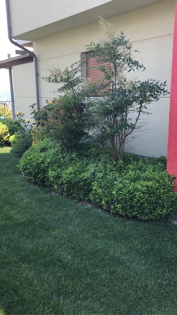 ANTRİVA EVLERİNDE 6+1 MÜSTAKİL VİLLA - 13